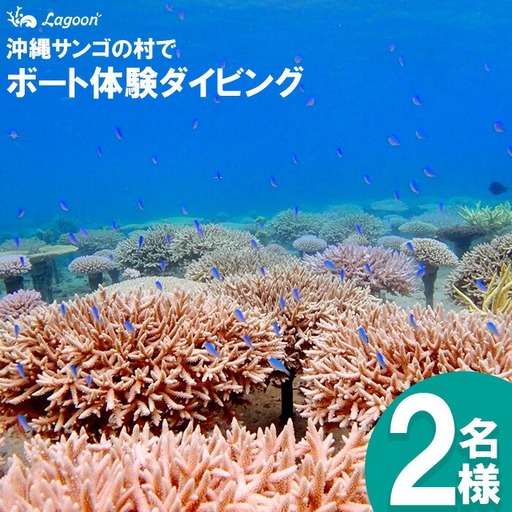 チケット ボート体験 ダイビング 2名 沖縄サンゴの村【恩納村ラグーン】