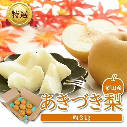 SA3036　酒田産【特選】あきづき梨　約3kg(6～9玉入)
