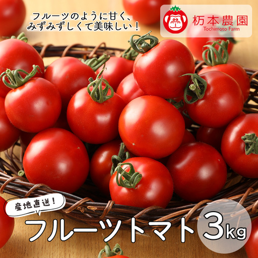 【発送期間：2026年7月上旬頃から順次発送】フルーツトマト  3kg入り フルーツトマト【45-7】