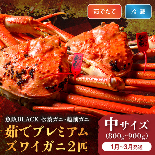 【蟹の匠 魚政】茹で　プレミアムズワイガニ 魚政BLACK（松葉ガニ・越前ガニ）特撰 中サイズ（800～900g） 2匹セット(1月～3月発送）蟹