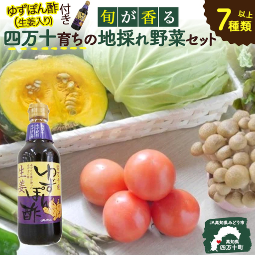 特製ポン酢付き！安心安全の地ドレ野菜（旬が香る7種セット） 野菜便 野菜 国産野菜 詰め合わせ 水耕セリ アスパラ ミョウガ ニラ 冷蔵 ／Qjs-05