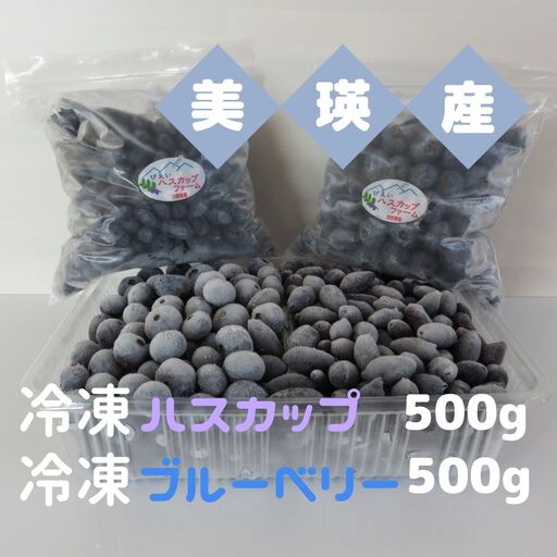 ハスカップ 冷凍 500g ブルーベリー 500g ブルーベリー 北海道 [019-67]