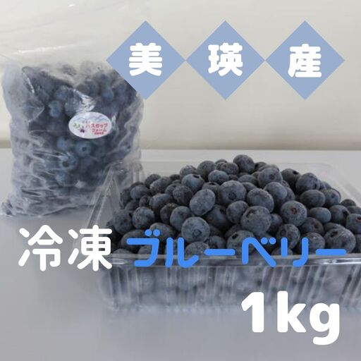 ブルーベリー 冷凍 1kg 北海道 ベリー 果物 フルーツ [019-66]