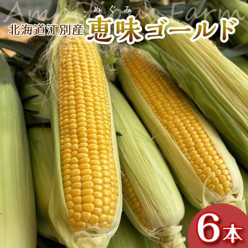 朝もぎ直送|北海道江別産AmbitiousFarm 極甘スイートコーン "恵味ゴールド" 1箱(6本)[2026年7月下旬より発送開始]