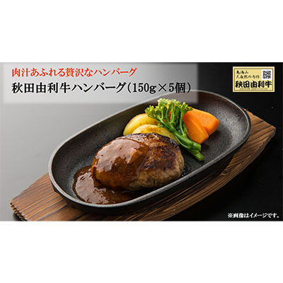 秋田由利牛ハンバーグ（150g×5個）ソース付き