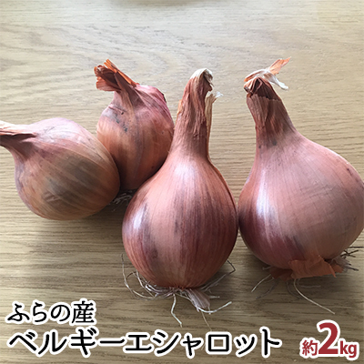 エシャロット 香味野菜 ベルギーエシャロット 富良野産 エシャロット[約2kg]