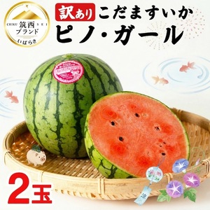 2027年先行受付【 訳あり 】 こだますいか 「 ピノ・ガール 」 2玉