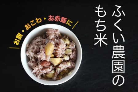 ふくい農園 おいしいお米 もち米10kg お米