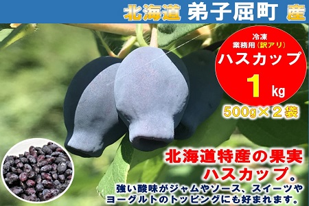 北海道特産の果実ハスカップ、業務用(訳あり)１ｋｇ 1354