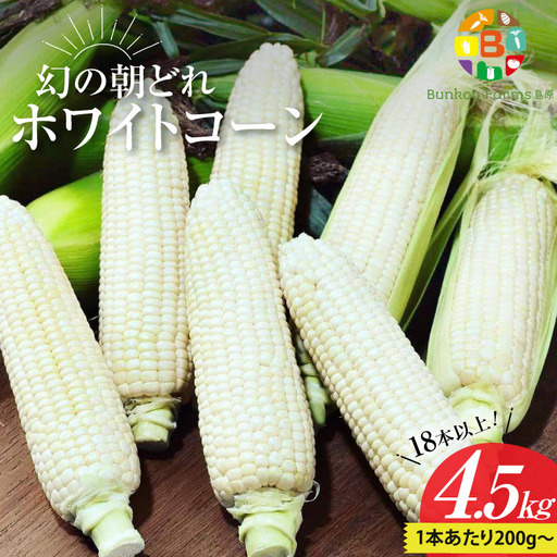 DG036 【令和9年度出荷分】 6月中旬から出荷！ 幻の朝どれ ホワイトコーン 200g以上×18本以上 4.5kg ～名水百選の里 島原産～