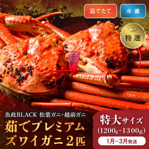 【蟹の匠 魚政】茹で　プレミアムズワイガニ 魚政BLACK（松葉ガニ・越前ガニ）特撰 特大サイズ（1200～1300g） 2匹セット(1月～3月発送）蟹