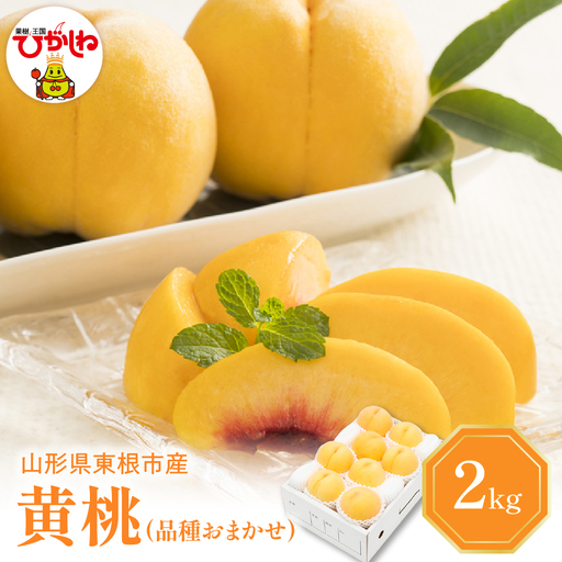 [2026年産先行予約]黄桃(品種おまかせ)2kg 秀品 桃 黄桃