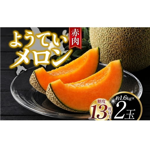 北海道 赤肉メロン 約1.6kg 2玉 メロン 赤肉 果物 フルーツ 甘い 完熟 スイーツ デザート 産直 国産 贈答品 お祝い ギフト羊蹄山 JAようてい