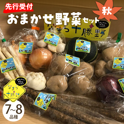 【先行受付】【2026年10月より配送】北海道十勝芽室町 なまら十勝野の季節のおまかせ野菜セット（秋）野菜 やさい おまかせ 詰め合わせ 詰合せ   me001-004c