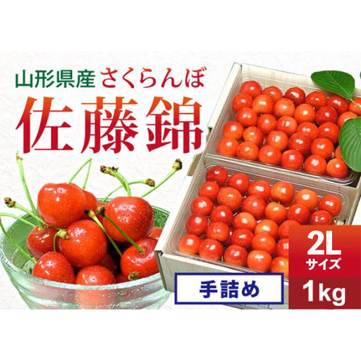 《先行予約 2027年度発送》さくらんぼ【佐藤錦】 秀品 2L 手詰め 1kg FSY-0152