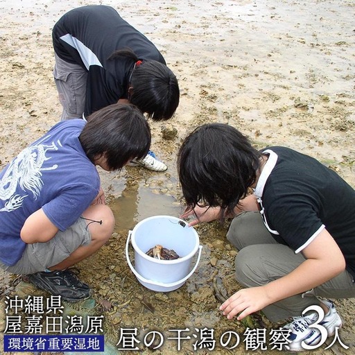 【環境省重要湿地】【屋嘉田潟原】昼の干潟の観察（3人）