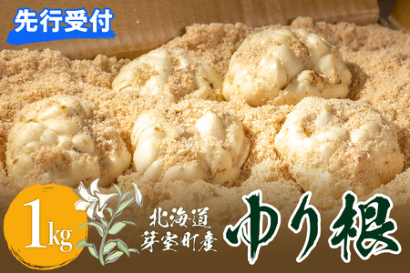[先行予約][2026年12月中旬より発送]北海道十勝芽室町 ゆりね 1kg(Lサイズ9玉入り1kg) me010-001c-26