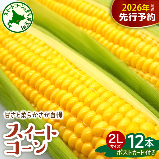 [先行受付][2026年7月下旬〜8月下旬頃配送]北海道十勝芽室町 上美生のたからばこ とうもろこしゴールドラッシュ 2Lサイズ以上12本ポストカード セット 人気 朝採り たっぷり 産地直送 甘い 送料無料 期間限定 数量限定 北海道 十勝 とかち 芽室町 めむろ 上美生 かみびせい お取り寄せ お土産me029-001c-26