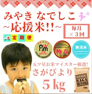 CID65_【みやきなでしこ】応援米【３回定期便】【無洗米】さがびより５kg 【五つ星お米マイスター厳選！】