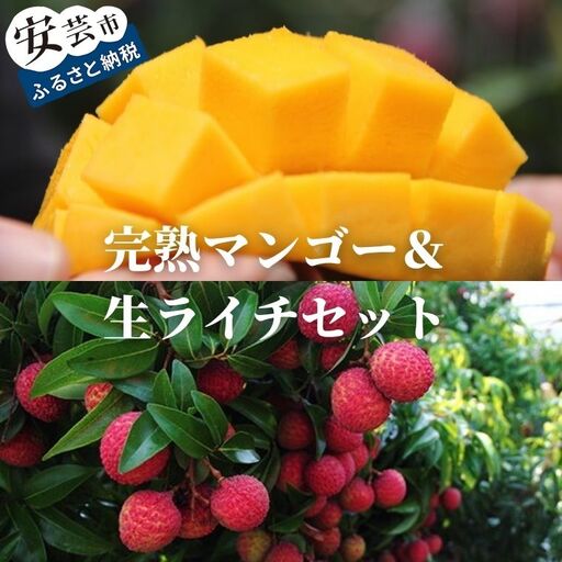 完熟マンゴー＆生ライチセット【マンゴー】