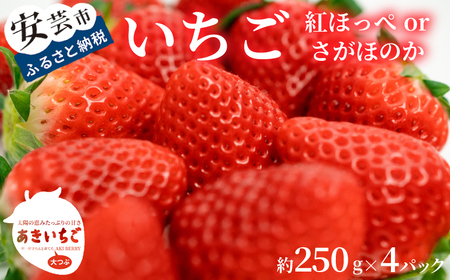 [2026.12〜]いちご(紅ほっぺ・さがほのか)|いちご