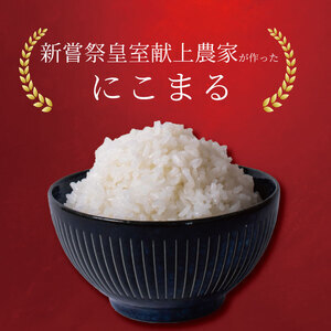 【令和7年産】 米 10kg にこまる 米 AS012