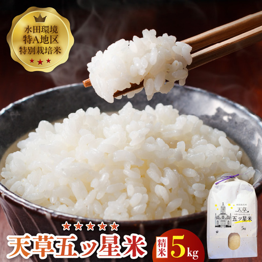 S061-009A_令和7年産 特別栽培米 天草五ッ星米 精米 5kg【先行受付】