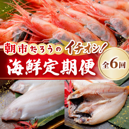 【6ヶ月連続お届け】朝市たろうのイチオシ海鮮定期便 [G-12301]