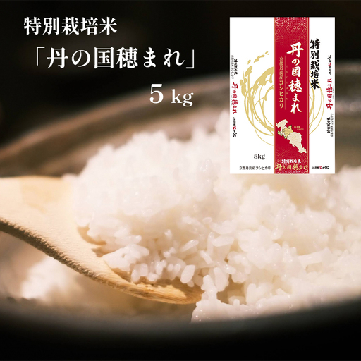  令和7年度産 特別栽培米 丹の国穂まれ 精米 5kg コシヒカリ 白米 お米
