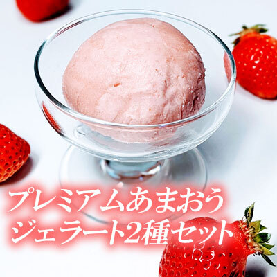 プレミアムあまおうジェラート2種セット 3SB2
