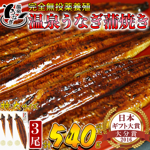 温泉うなぎ 蒲焼 3尾（180gサイズ）【大分水産】 国産 完全無投薬 うなぎ 九州 大分県 うな丼 うな重 冷凍 鰻 ギフト 受賞 特大 土用の丑の日 スタミナ 夏バテ ＜104-016＞