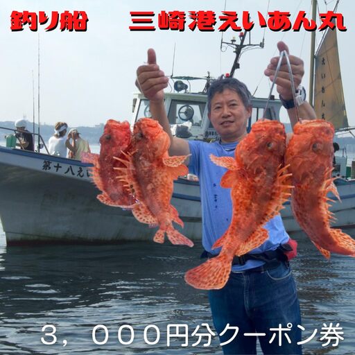 【つり船】三崎港 えいあん丸 3,000円分 クーポン券 M083-001 チケット 体験