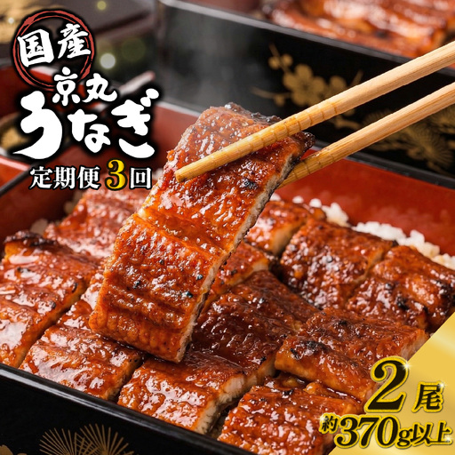 【定期便 3ヶ月】 うなぎ 蒲焼 2尾 国産 うなぎ
