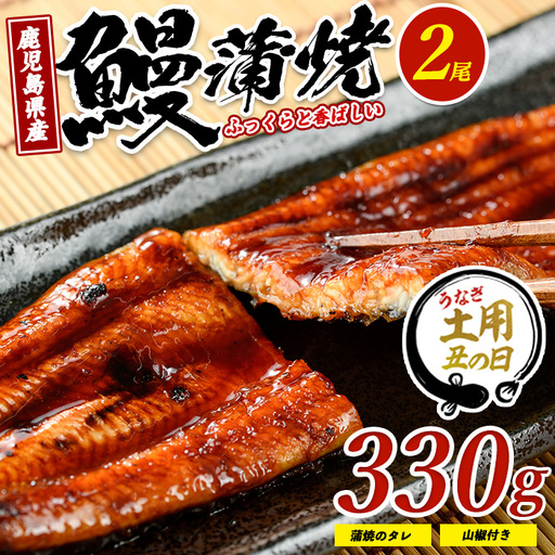 【丑の日に合わせてお届け！】鹿児島県産鰻の蒲焼(無頭背開き)約165g×2尾(山中水産/IB022-001u)うなぎ 国産