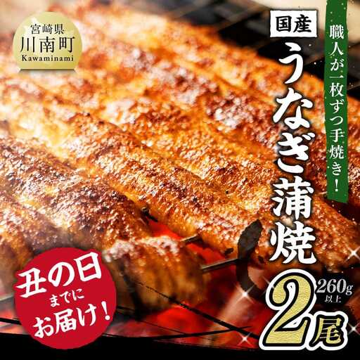 【丑の日までにお届け！】ひむか山道うなぎ蒲焼2尾分(260g以上) 【 国産 九州産 宮崎県産 うなぎ ウナギ 鰻 鰻の蒲焼き 蒲焼 】 