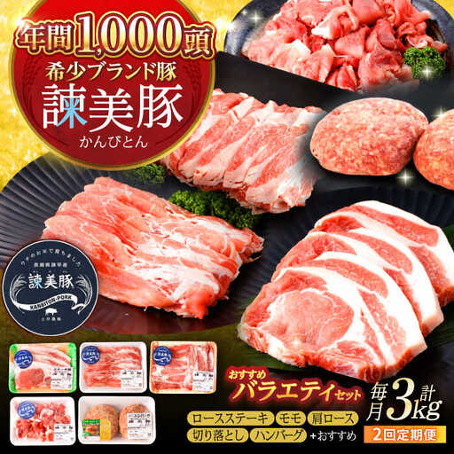 豚肉【2回定期便】バラエティ 3kg AHAD001 定期便