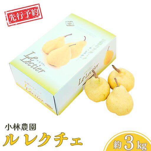 先行予約 ル レクチェ 3kg 11月下旬から発送予定 2026年産 令和8年度 7~14玉 幻の西洋梨