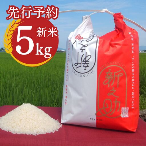 先行予約 新之助 5kg 新潟県産 [2027年1月中旬から順次発送予定]