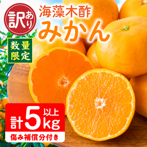 訳あり 数量限定 海藻木酢みかん 計5kg以上 傷み補償分入り フルーツ 果物 _A94-25