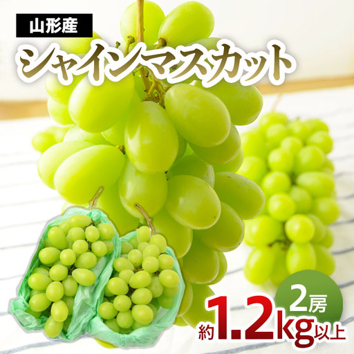 山形のぶどう シャインマスカット 1.2kg以上(2房)[10月中旬～11月中旬お届け]【令和8年産先行予約】FU22-795 くだもの 果物 フルーツ 山形 山形県 山形市 2026年産