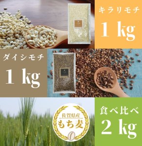 CIB93_佐賀県産『もち麦』食べ比べ！キラリモチ１㎏、ダイシモチ１㎏