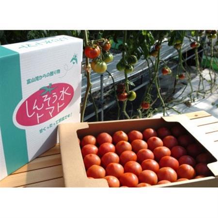 【事前受付】感動のフルーツトマト「深層水トマト」3キロ【濃厚な甘みと旨み】【配送不可地域：離島】【1290573】