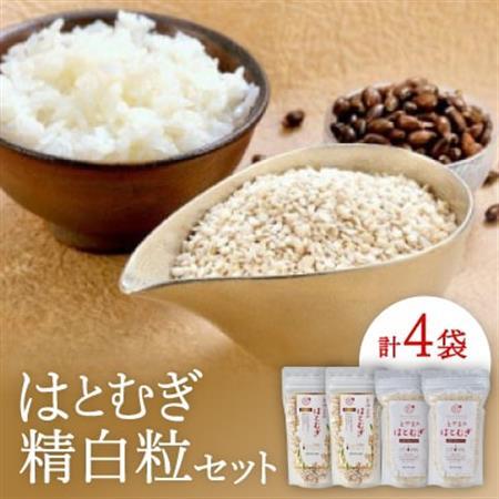 はとむぎ精白粒セット(大粒200g×2袋、砕粒500g×2袋)【1291665】