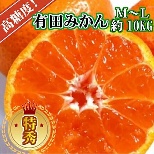 有田みかん［特秀品Ｍ～Ｌ、高糖度］約10kg！2026年10月上旬～12月下旬順次発送［NGT4］