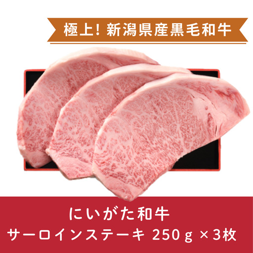 にいがた和牛 サーロインステーキ 250ｇ×3枚 にいがた和牛 黒毛和牛 牛肉 肉 牛 赤身肉 柔らか 上質 国産 ブランド牛 冷凍 化粧箱入 のし 贈答  贈り物 ギフト プレゼント お中元 お歳暮 父の日 母の日 敬老の日 ステーキ 新潟県 阿賀野市 1D21054