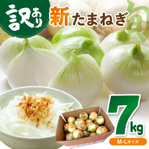 【玉ねぎ】訳あり 新たまねぎ 7kg | 玉ねぎ