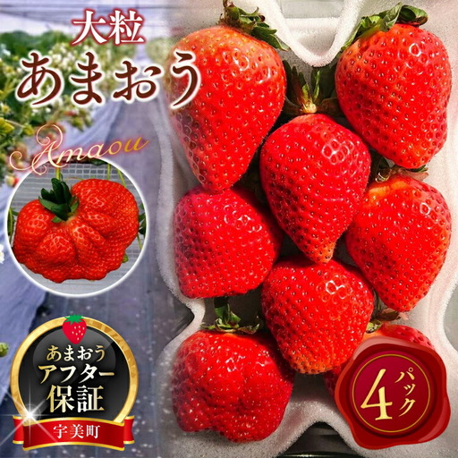 いちご あまおう 厳選大粒 4パック いちご [2027年発送]