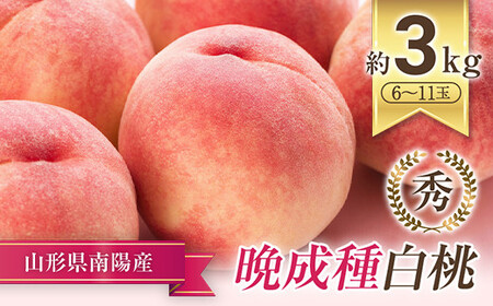 [令和9年産先行予約] 晩成のもも「だて白桃・さくら・西王母 等」 約3kg (6〜11玉) [令和9年9月中旬〜発送] 『生産者 高橋 賢一』 桃 モモ 果物 フルーツ 産地直送 生産農家直送 山形県 南陽市 [1107-R9]