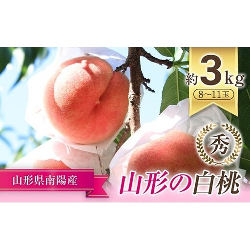 【令和9年産先行予約】 もも「川中島・あかつき・まどか 等」 約3kg (8～11玉) 《令和9年7月下旬～発送》 『生産者 佐藤 勇二』 桃 モモ 果物 フルーツ 産地直送 生産農家直送 [591]