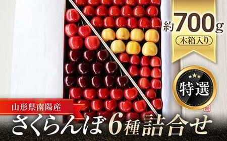 [令和9年産先行予約] さくらんぼ 6種詰合せ 約700g (特選 木箱入り) [令和9年6月中旬〜発送] 『最上園』 [680]